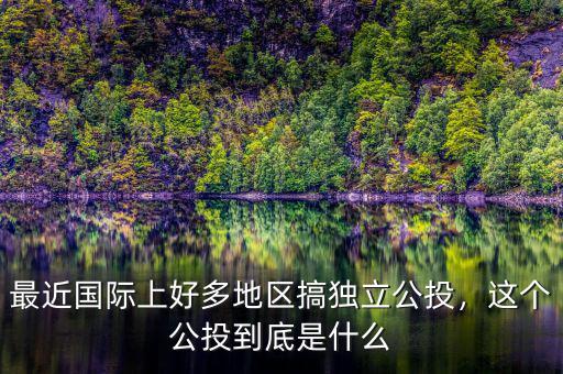 最近國(guó)際上好多地區(qū)搞獨(dú)立公投，這個(gè)公投到底是什么