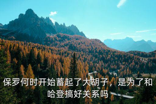 保羅何時(shí)開(kāi)始蓄起了大胡子，是為了和哈登搞好關(guān)系嗎