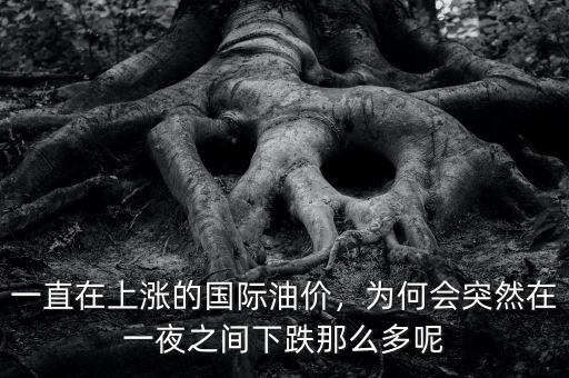 一直在上漲的國際油價(jià)，為何會突然在一夜之間下跌那么多呢