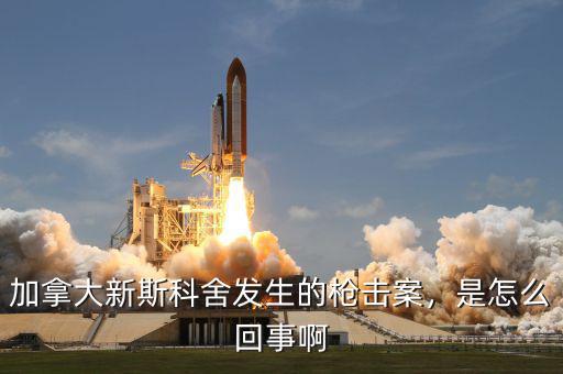 加拿大新斯科舍發(fā)生的槍擊案，是怎么回事啊