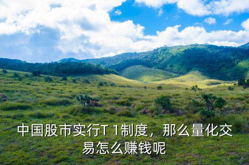 中國股市實(shí)行T 1制度，那么量化交易怎么賺錢呢