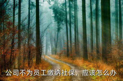 公司不為員工繳納社保，應(yīng)該怎么辦