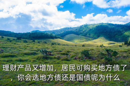 理財(cái)產(chǎn)品又增加，居民可購買地方債了，你會選地方債還是國債呢為什么
