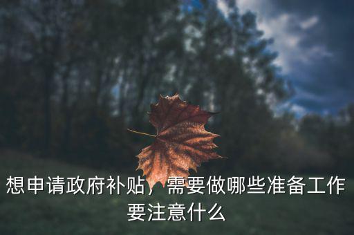 想申請政府補貼，需要做哪些準(zhǔn)備工作要注意什么