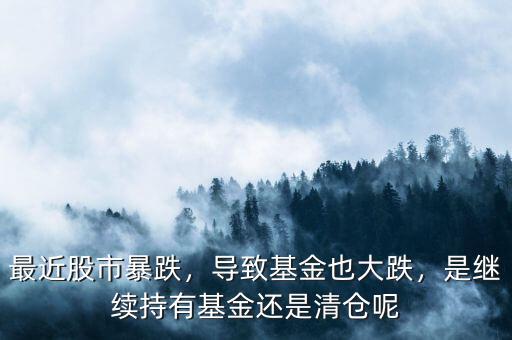 最近股市暴跌，導(dǎo)致基金也大跌，是繼續(xù)持有基金還是清倉(cāng)呢