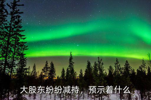 大股東紛紛減持，預示著什么