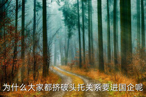 為什么大家都擠破頭托關(guān)系要進國企呢