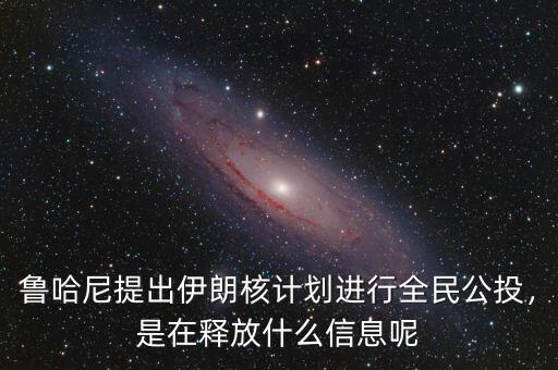 魯哈尼提出伊朗核計劃進(jìn)行全民公投，是在釋放什么信息呢
