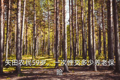 失田農(nóng)民59歲，一次性交多少養(yǎng)老保險(xiǎn)