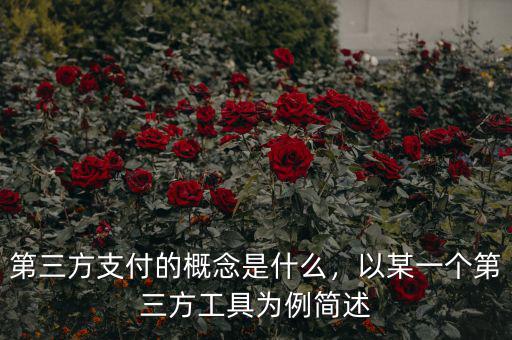 第三方支付的概念是什么，以某一個(gè)第三方工具為例簡述