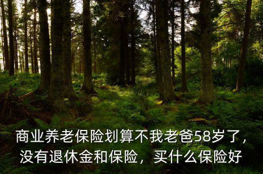 商業(yè)養(yǎng)老保險劃算不我老爸58歲了，沒有退休金和保險，買什么保險好