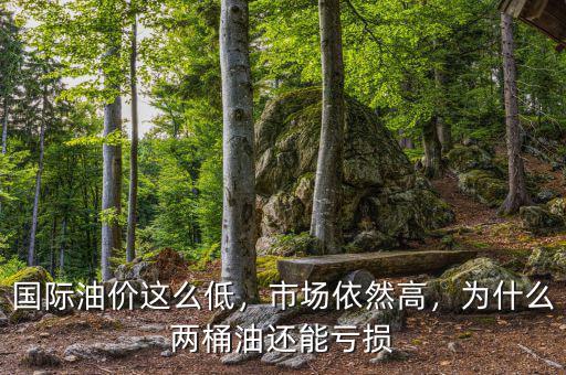 國際油價這么低，市場依然高，為什么兩桶油還能虧損