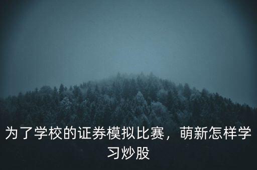 為了學校的證券模擬比賽，萌新怎樣學習炒股