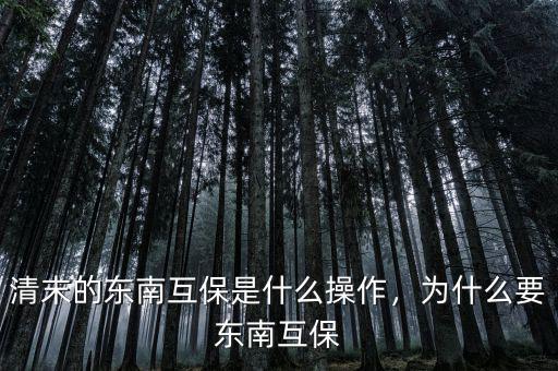 清末的東南互保是什么操作，為什么要東南互保