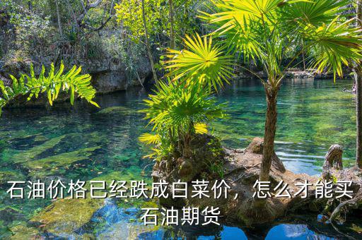 石油價(jià)格已經(jīng)跌成白菜價(jià)，怎么才能買石油期貨