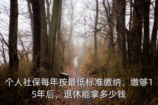 個(gè)人社保每年按最低標(biāo)準(zhǔn)繳納，繳夠15年后，退休能拿多少錢