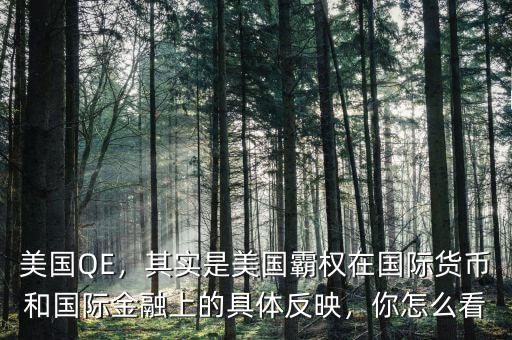 美國QE，其實是美國霸權在國際貨幣和國際金融上的具體反映，你怎么看