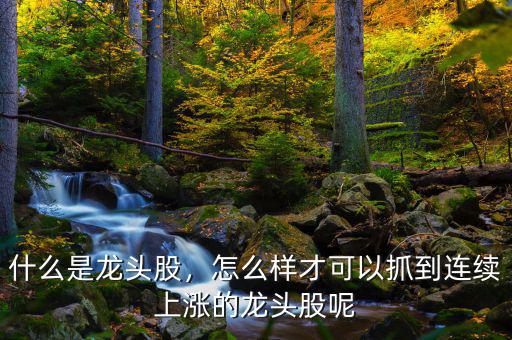什么是龍頭股，怎么樣才可以抓到連續(xù)上漲的龍頭股呢
