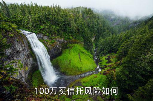 100萬(wàn)買(mǎi)信托風(fēng)險(xiǎn)如何