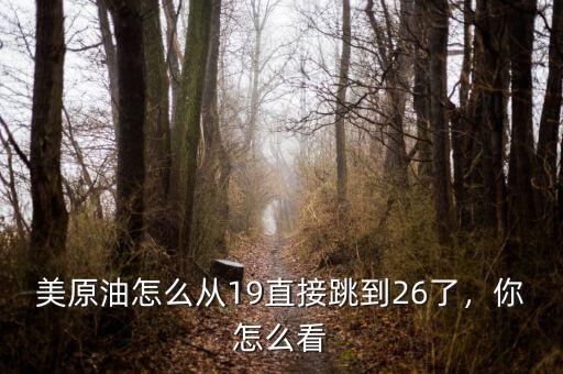 美原油怎么從19直接跳到26了，你怎么看