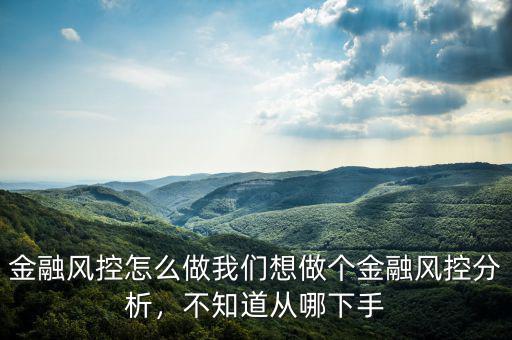 金融風(fēng)控怎么做我們想做個(gè)金融風(fēng)控分析，不知道從哪下手