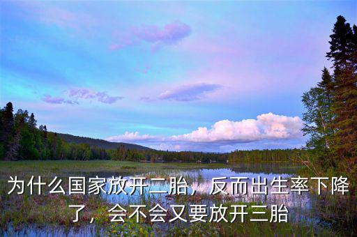 為什么國(guó)家放開(kāi)二胎，反而出生率下降了，會(huì)不會(huì)又要放開(kāi)三胎
