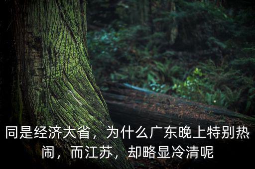 同是經(jīng)濟(jì)大省，為什么廣東晚上特別熱鬧，而江蘇，卻略顯冷清呢