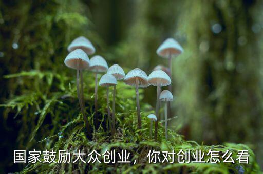 國(guó)家鼓勵(lì)大眾創(chuàng)業(yè)，你對(duì)創(chuàng)業(yè)怎么看