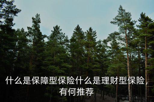 淘寶理財保單確認(rèn)是什么意思,什么是保障型保險