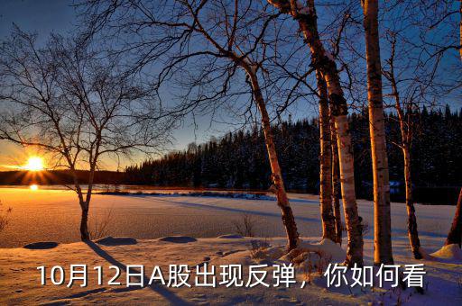 10月12日A股出現(xiàn)反彈，你如何看