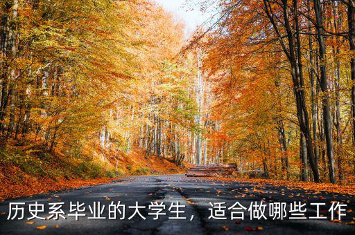 歷史系畢業(yè)的大學(xué)生，適合做哪些工作