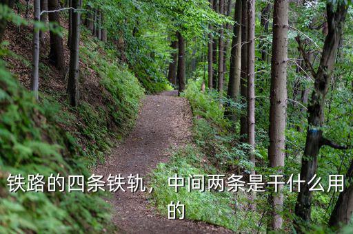鐵路的四條鐵軌，中間兩條是干什么用的