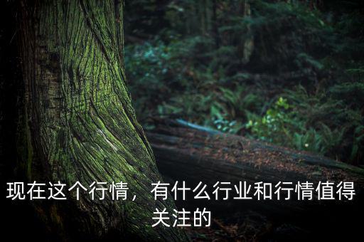 現(xiàn)在這個行情，有什么行業(yè)和行情值得關(guān)注的