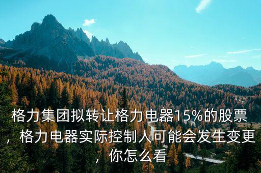 格力集團擬轉(zhuǎn)讓格力電器15%的股票，格力電器實際控制人可能會發(fā)生變更，你怎么看