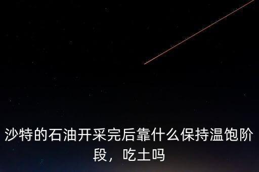 沙特的石油開采完后靠什么保持溫飽階段，吃土嗎