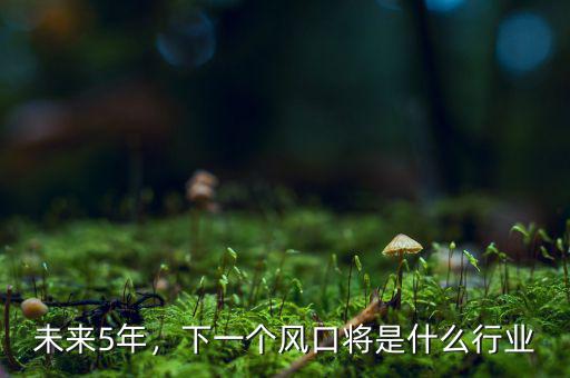 未來5年，下一個風(fēng)口將是什么行業(yè)
