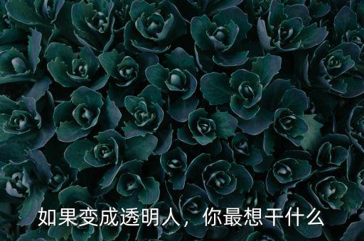 如果變成透明人，你最想干什么