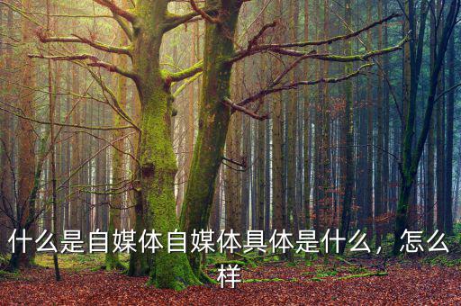 什么是自媒體自媒體具體是什么，怎么樣