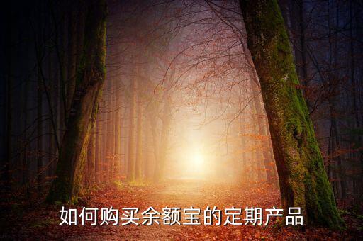 如何購(gòu)買(mǎi)余額寶的定期產(chǎn)品
