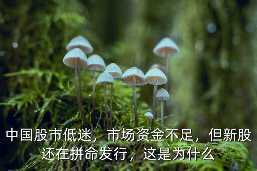 中國股市低迷，市場資金不足，但新股還在拼命發(fā)行，這是為什么