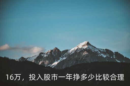 16萬，投入股市一年掙多少比較合理