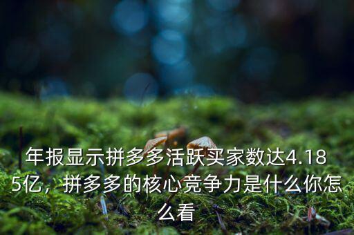 年報(bào)顯示拼多多活躍買家數(shù)達(dá)4.185億，拼多多的核心競爭力是什么你怎么看