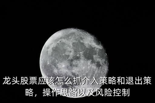龍頭股票應(yīng)該怎么抓介入策略和退出策略，操作思路以及風(fēng)險(xiǎn)控制