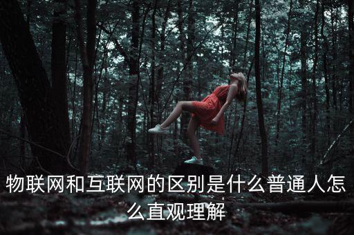物聯(lián)網(wǎng)和互聯(lián)網(wǎng)的區(qū)別是什么普通人怎么直觀(guān)理解