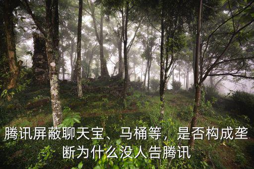 騰訊屏蔽聊天寶、馬桶等，是否構(gòu)成壟斷為什么沒人告騰訊