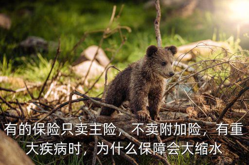 有的保險(xiǎn)只賣主險(xiǎn)，不賣附加險(xiǎn)，有重大疾病時(shí)，為什么保障會(huì)大縮水
