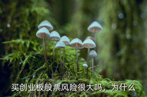 買創(chuàng)業(yè)板股票風(fēng)險很大嗎，為什么