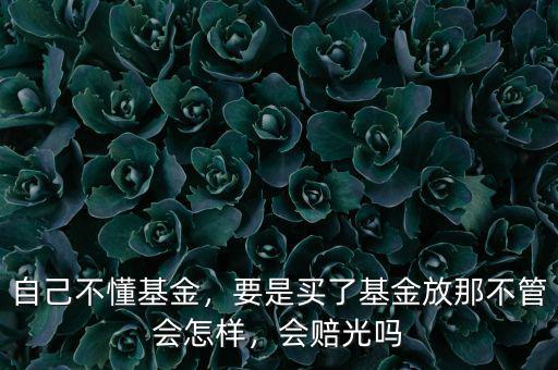 自己不懂基金，要是買了基金放那不管會怎樣，會賠光嗎