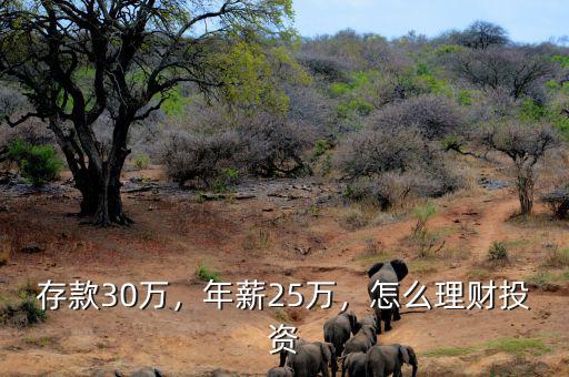 存款30萬，年薪25萬，怎么理財(cái)投資