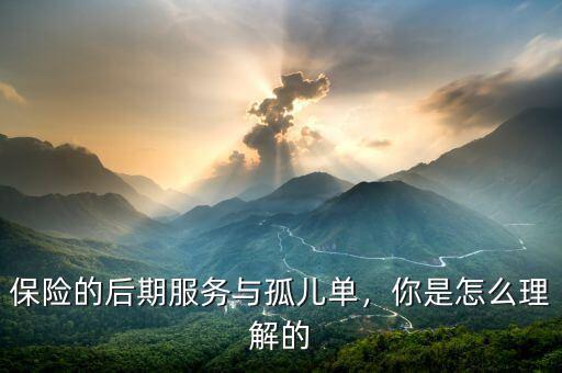 保險的后期服務與孤兒單，你是怎么理解的